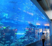 如何設(shè)計(jì)有吸引力的海洋館工程？